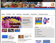 Tablet Screenshot of kascicekcisi.com